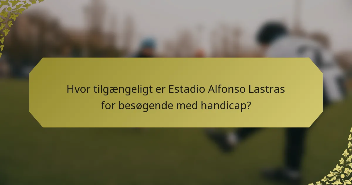Hvor tilgængeligt er Estadio Alfonso Lastras for besøgende med handicap?