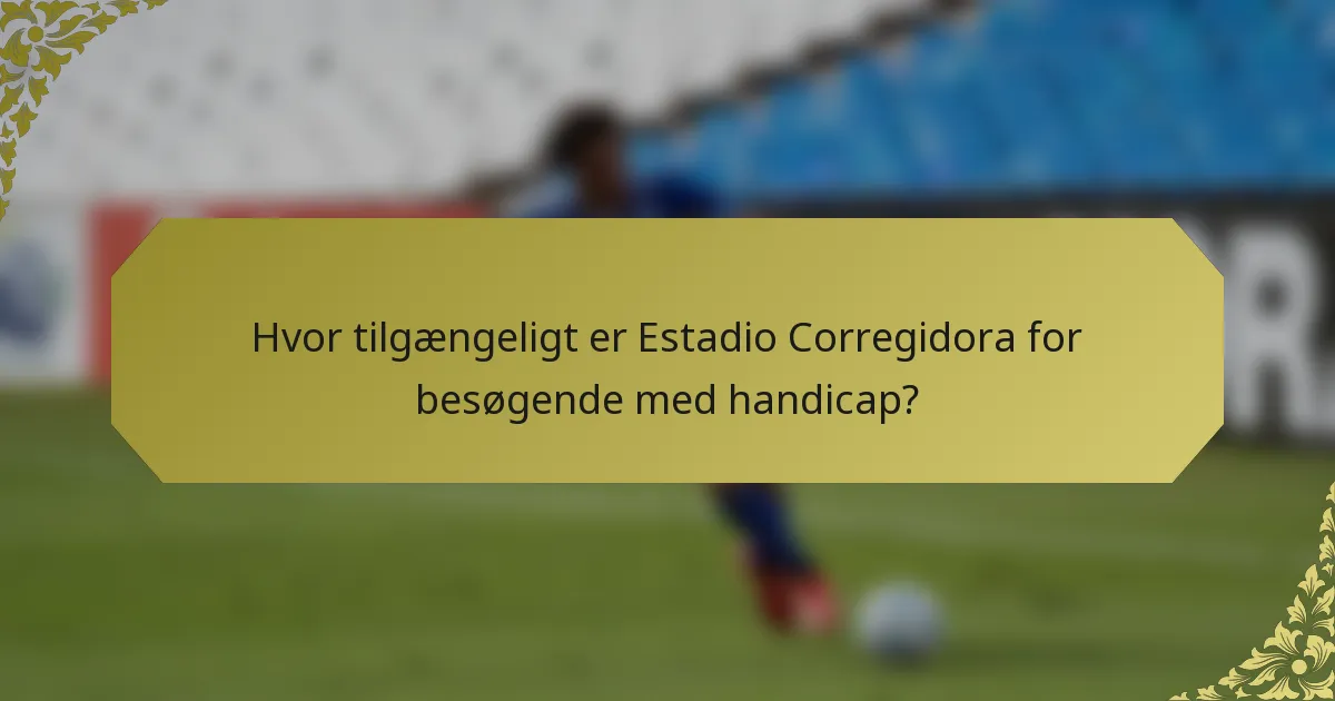 Hvor tilgængeligt er Estadio Corregidora for besøgende med handicap?