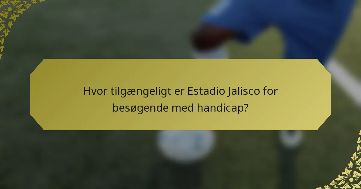 Hvor tilgængeligt er Estadio Jalisco for besøgende med handicap?