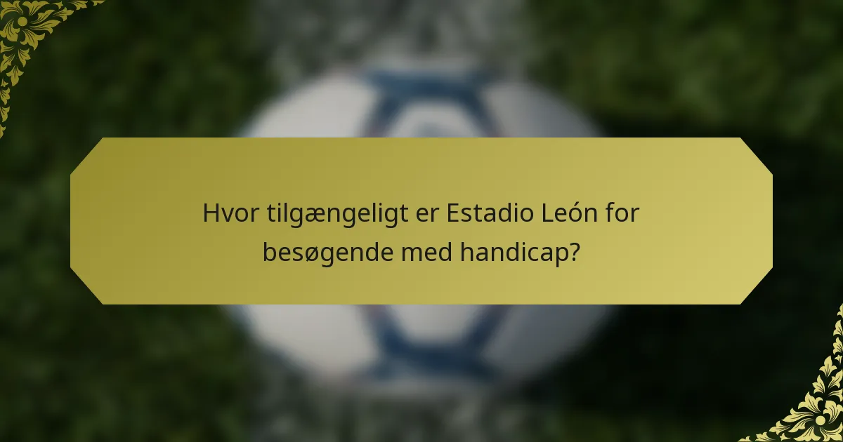 Hvor tilgængeligt er Estadio León for besøgende med handicap?