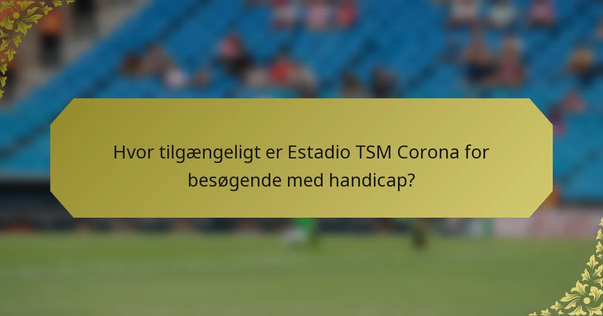 Hvor tilgængeligt er Estadio TSM Corona for besøgende med handicap?