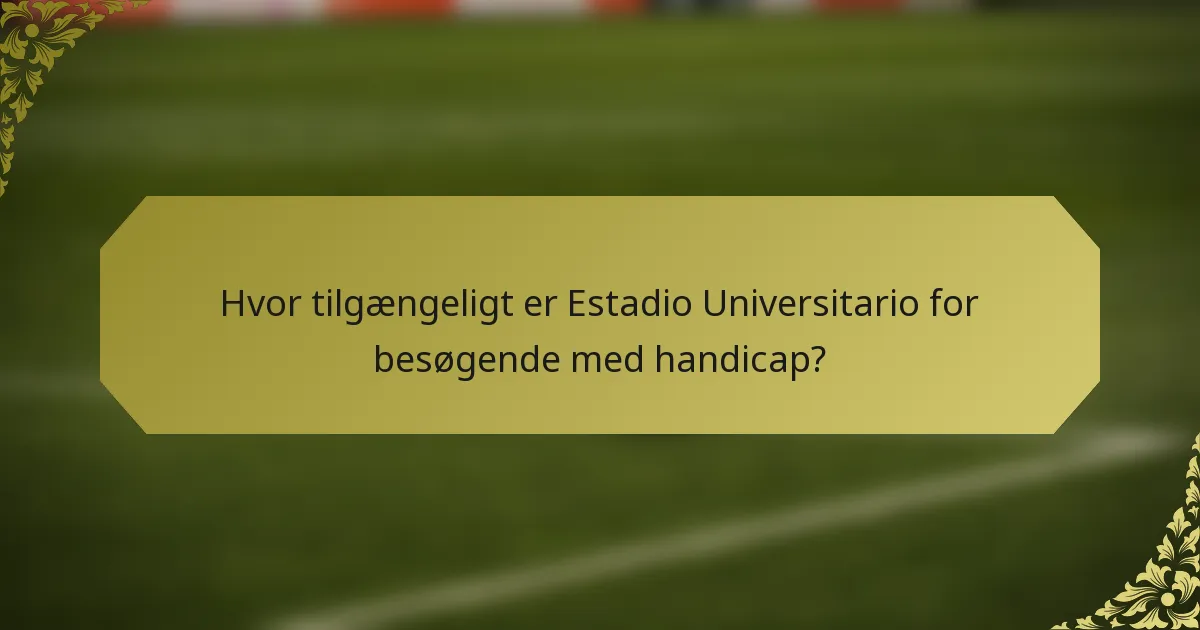 Hvor tilgængeligt er Estadio Universitario for besøgende med handicap?